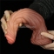 Фалоімітатор «Dual-Layered Silicone Nature Cock 9.5