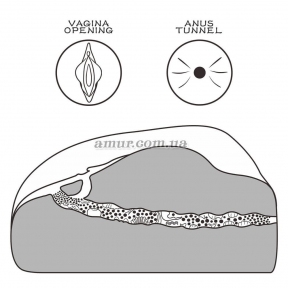 Мастурбатор вагіна-анус 