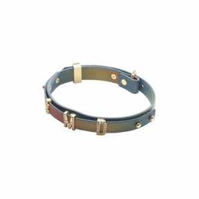Нашийник LOCKINK Multi-color DIY Alphabet Collar 4
