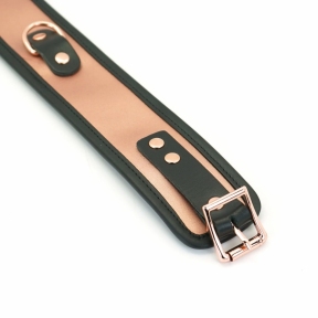 Широкий нашийник із повідцем Liebe Seele Rose Gold Memory Collar with Leash, натуральна шкіра 4