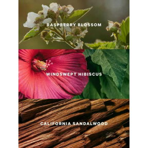 Спрей‑мист для тела Victoria’s Secret Serene Blooms, 250 мл 0