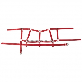 Красный комплект БДСМ-аксессуаров «Harness Set» 3