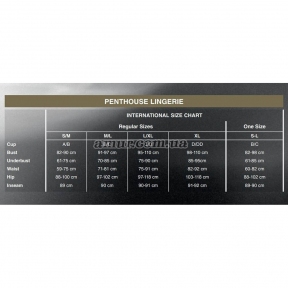 Бодістокінг Penthouse - High stakes, чорний 2