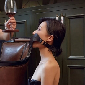 Набір для домінування LOCKINK SEVANDA Objectification Human Furniture Set, маска і 4 насадки 10