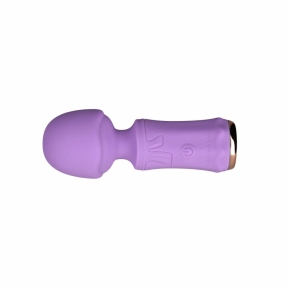 Мини-вибромассажер FairyGasm SecretFuntasy, фиолетовый 1