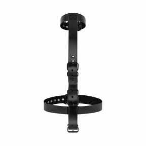 Фіксатор для рук та шиї Bedroom Fantasies: Seductive Straps Body Restraint Set 0