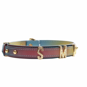 Нашийник LOCKINK Multi-color DIY Alphabet Collar 3