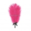 Романтический розовый набор Rianne S: Kit d'Amour: вибропуля, перышко, маска, чехол-косметичка 1