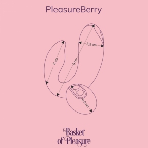 Вибратор для пар FairyGasm PleasureBerry, голубой, зарядный кейс, пульт ДУ 9