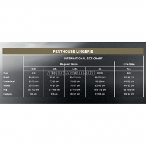 Трусики Penthouse - Pure instincts, черные 2