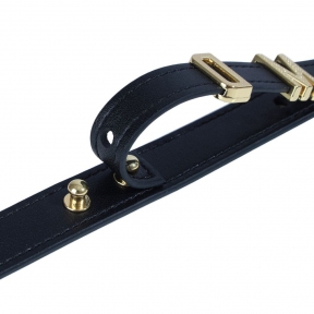 Нашийник LOCKINK Dark DIY Alphabet Collar 7