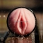 Мастурбатор вагина Fleshlight Pink Lady Vortex, нежный реалистичный рельеф 3