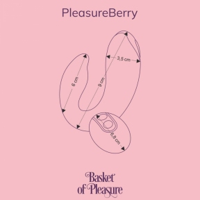 Вибратор для пар FairyGasm PleasureBerry, фиолетовый, зарядный кейс, пульт ДУ 7