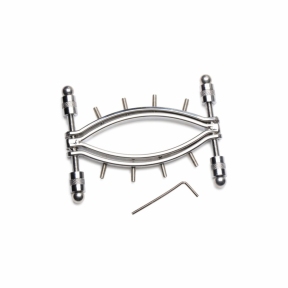 Затискач для вагіни Master Series: Spread Em Poker Vagina Clamp with Adjustable Pressure Screws, шипи 2