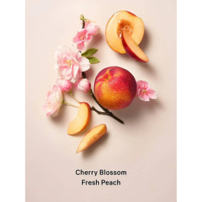 Парфюмерный спрей для тела Victoria's Secret Love Spell Shimmer, 250 мл 0