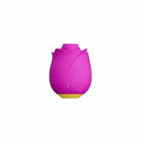 Шикарный вакуумный клиторальный стимулятор Romp Rose, розовый, в виде розы 0