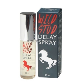 Спрей для продовження статевого акту «Wild Stud Delay spray», 22 мл